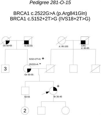 Dealing With BRCA1/2 Unclassified Variants in a Cancer Genetics Clinic: Does Cosegregation Analysis Help?